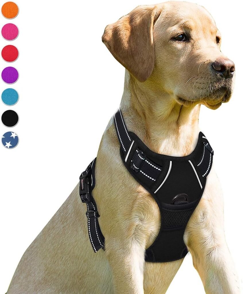 Kurgo Tru-Fit Harness — Best for Car Travel & Safety