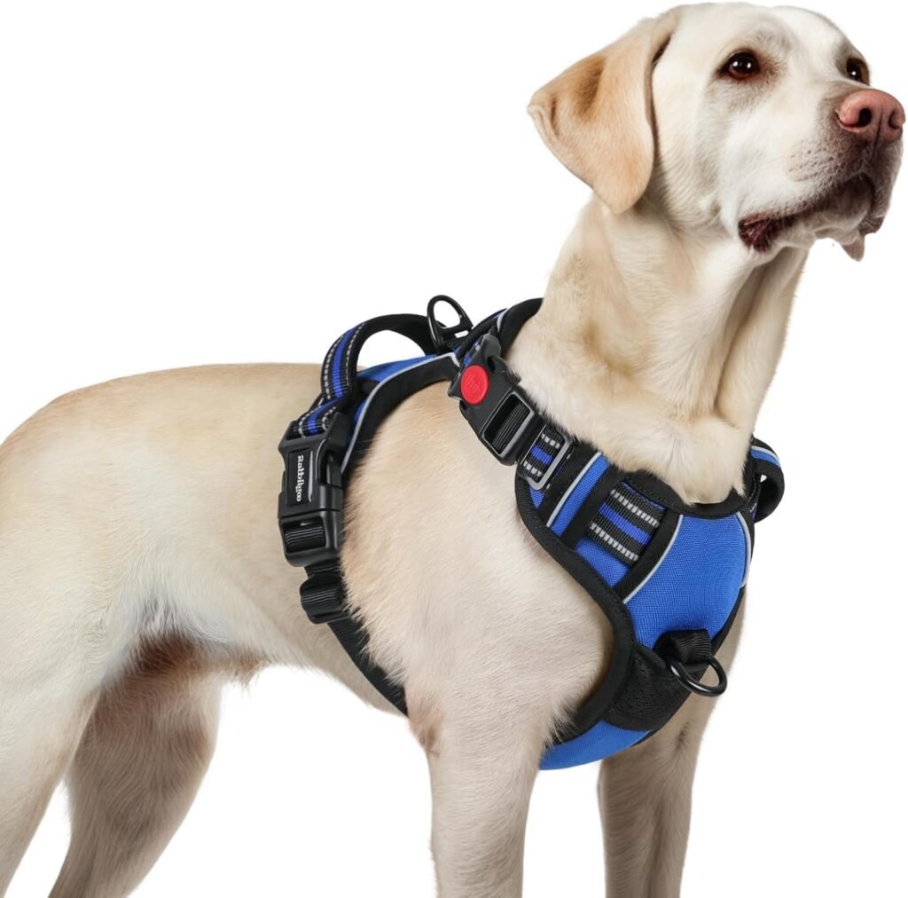 Rabbitgoo No-Pull Harness — Best Budget Pick