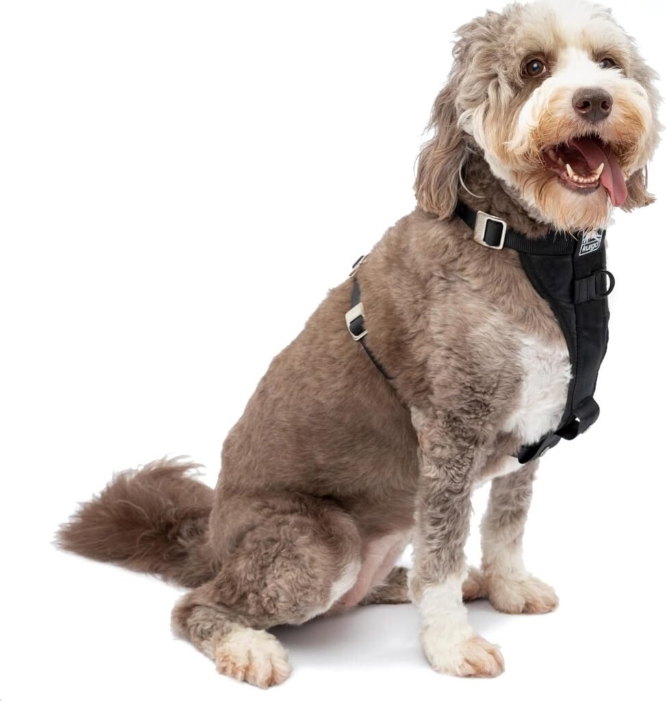 BARKBAY No-Pull Harness — Best for Large & Strong Dogs