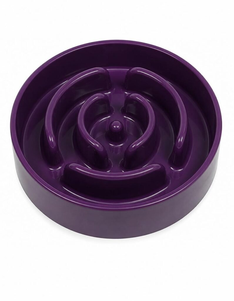 LE TAUCI Ceramic Slow Feeder Bowl — Best for Large Breeds