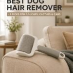 Grey dog hair remover brush resting on the arm of a beige sofa, titled Best Dog Hair Remover, 5 picks for couches, clothes and cars