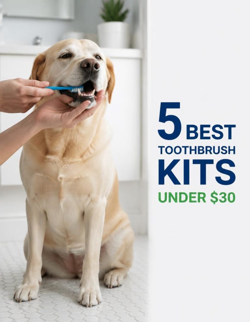 Best Dog Toothbrush Kit: 5 Picks Under $20 (2026)