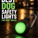 Green LED dog safety light with a carabiner clip glowing on a wet street at night