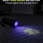 Black UV flashlight on a dark floor revealing a glowing yellow-green dried urine stain